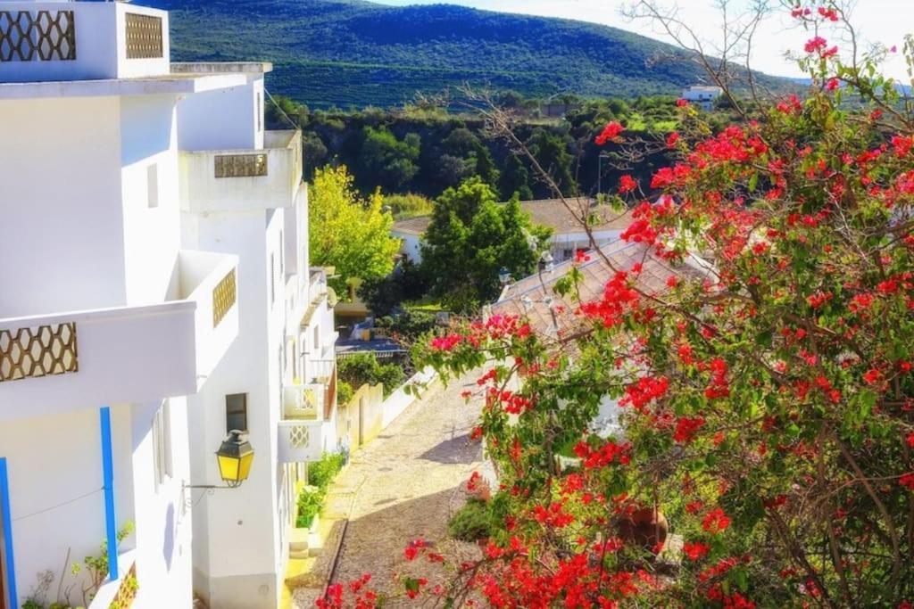 Casa Cecilia Apartment Algarve Alte Dış mekan fotoğraf