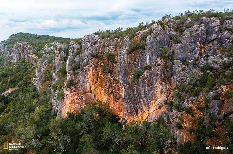 Casa Cecilia Apartment Algarve Alte Dış mekan fotoğraf